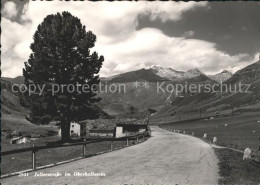 11635723 Bivio Julierstrasse Im Oberhalbstein Bivio - Sonstige & Ohne Zuordnung