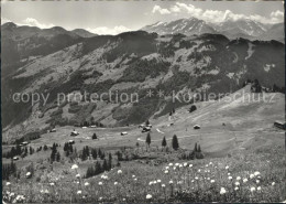 11635703 Schiers Panorama Blick Vom Stelserberg Gegen Furna Und Calanda Buendner - Altri & Non Classificati