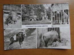 Zoo, Dierenpark, Tierpark / Tiergarten Eisenberg --> Written - Autres & Non Classés
