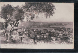 Cpa Alger Vue Entre Les Oliviers - Algeri