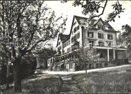 11635646 Zuerich Kurhaus Zuerichberg Baumbluete Zuerich - Sonstige & Ohne Zuordnung