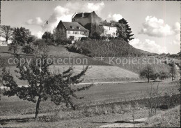 11635613 Waltalingen Schloss Schwandegg Waltalingen - Altri & Non Classificati