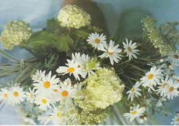 BOUQUET   DE  MARGUERITES  ETFLEURS  BLANCHES  -  C P M   (  19 CM X  13  )  SIGNÉ  PAUL  TRUCCHI  ( 24 / 5 / 42  ) - Blumen