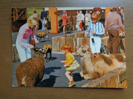 Zoo, Dierenpark, Tierpark / Baby Zoo Wingst (kameel, Schaap, Geitjes) --> Written - Autres & Non Classés