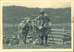 11635404 Wallis Valais Kanton Sommer In Bergen Kuehe Kind Sion - Altri & Non Classificati