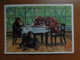 Zoo, Dierenpark, Tierpark / Carl Hagenbeck's Tierpark, Hamburg-Stellingen - Schimpansen Und Orang Utans Bei Der Mahlzeit - Monkeys