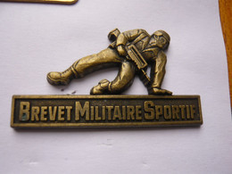 BIG  Pin S ARTHUS BERTRAND BREVET MILITAIRE SPORTIF 4,5 X 2,5 Cm 2 Attaches - Arthus Bertrand