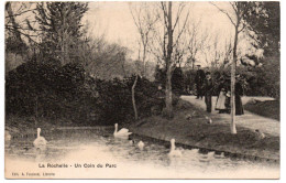 Charentes  Maritime , La Rochelle , Un Coin Du Parc - La Rochelle