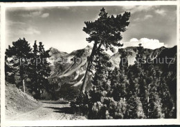 11635248 Arosa GR Arlenwald Promenade Arosa - Sonstige & Ohne Zuordnung