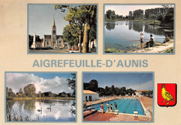 17-AIGREFEUILLE D AUNIS-N°3793-A/0381 - Andere & Zonder Classificatie