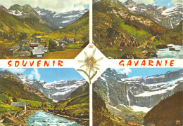 65-GAVARNIE-N°3793-A/0189 - Gavarnie