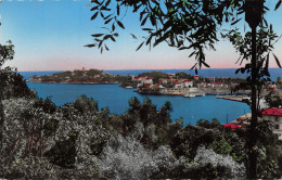 06-SAINT JEAN CAP FERRAT-N°3793-E/0063 - Saint-Jean-Cap-Ferrat