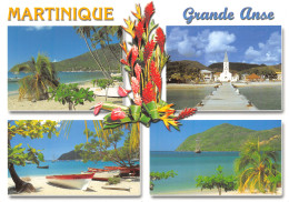 972-MARTINIQUE GRANDE ANSE D ARLET-N°3793-D/0313 - Autres & Non Classés