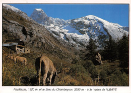 04-UBAYE-N°3793-D/0139 - Andere & Zonder Classificatie