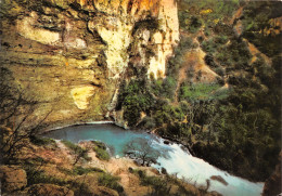 84-FONTAINE DE VAUCLUSE-N°3793-D/0117 - Otros & Sin Clasificación