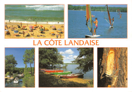 40-LA COTE LANDAISE-N°3793-D/0041 - Other & Unclassified