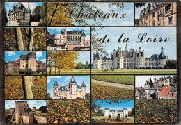 41-CHATEAUX DE LA LOIRE-N°3794-C/0313 - Altri & Non Classificati