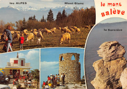 74-LE MONT SALEVE-N°3794-C/0287 - Altri & Non Classificati