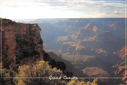 USA-GRAND CANYON-N°3794-C/0219 - Other & Unclassified