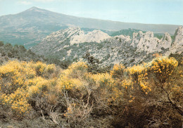 84-LE MONT VENTOUX-N°3794-A/0325 - Sonstige & Ohne Zuordnung