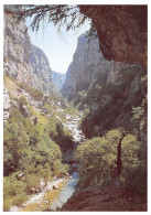 04-GORGES DU VERDON-N°3794-A/0165 - Sonstige & Ohne Zuordnung