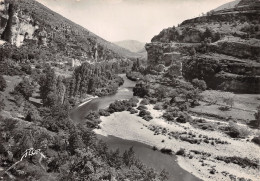 48-GORGES DU TARN-N°3795-A/0155 - Gorges Du Tarn