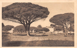 83-SAINT TROPEZ-N°3794-E/0371 - Saint-Tropez