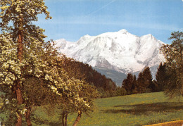 74-MONT BLANC-N°3794-D/0359 - Sonstige & Ohne Zuordnung