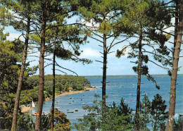 33-BASSIN D ARCACHON-N°3794-D/0239 - Sonstige & Ohne Zuordnung