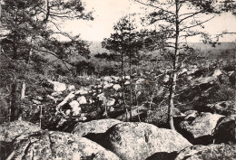 77-FONTAINEBLEAU-N°3794-D/0139 - Fontainebleau