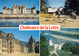 41-CHATEAUX DE LA LOIRE-N°3794-D/0119 - Other & Unclassified