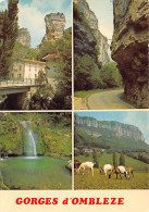 26-LES GORGES D OMBLEZE-N°3794-D/0009 - Altri & Non Classificati