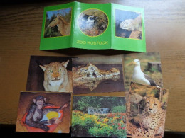 Zoo, Dierenpark, Tierpark / Mapje Met 6 Kleine Kaartjes, Zoo Rostock - Autres & Non Classés