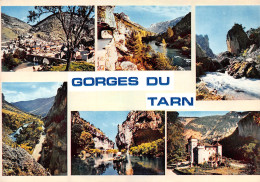 48-LES GORGES DU TARN-N°3795-C/0111 - Other & Unclassified