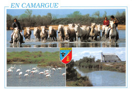 13-EN CAMARGUE -N°3795-B/0195 - Sonstige & Ohne Zuordnung