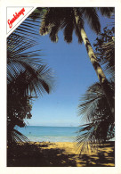 971-GUADELOUPE-N°3795-B/0145 - Altri & Non Classificati