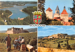 89-BOURGOGNE-N°3795-A/0381 - Andere & Zonder Classificatie