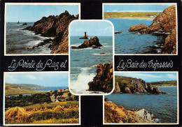 29-LA POINTE DU RAZ-N°3795-A/0317 - La Pointe Du Raz