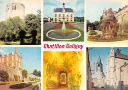 45-CHATILLON COLIGNY-N°3795-A/0325 - Chatillon Coligny