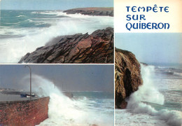 56-QUIBERON-N°3795-A/0177 - Quiberon