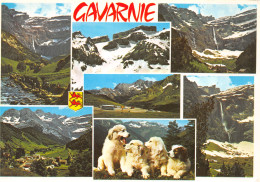 65-GAVARNIE-N°3796-A/0117 - Gavarnie