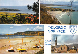 29-TELGRUC SUR MER-N°3796-A/0033 - Other & Unclassified