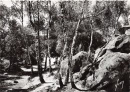 77-FONTAINEBLEAU-N°3795-D/0347 - Fontainebleau