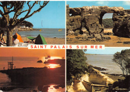 17-SAINT PALAIS SUR MER-N°3795-D/0231 - Saint-Palais-sur-Mer