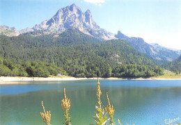 64-PIC MIDI OSSAU-N°3795-D/0081 - Sonstige & Ohne Zuordnung