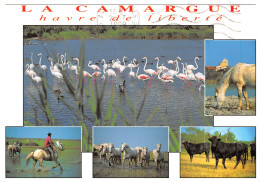 13-LA CAMARGUE-N°3795-D/0071 - Sonstige & Ohne Zuordnung