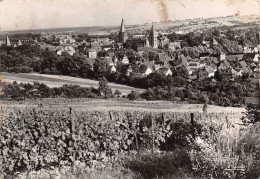 67-WISSEMBOURG-N°3796-C/0349 - Wissembourg