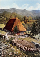 15-AUVERGNE VIEILLE GRANGE EN MONTAGNE-N°3796-C/0211 - Otros & Sin Clasificación