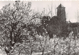 81-ABBAYE D EN CALCAT DOURGNE-N°3796-C/0181 - Sonstige & Ohne Zuordnung