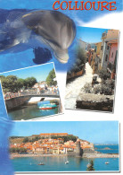 66-COLLIOURE-N°3796-B/0299 - Collioure